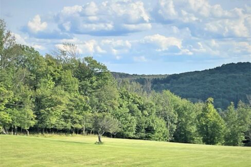 IMG_6361 (2)