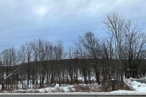 IMG_7483 (2)